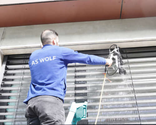 Reinigung AS wolf